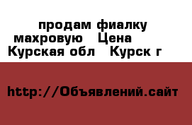 продам фиалку махровую › Цена ­ 150 - Курская обл., Курск г.  »    